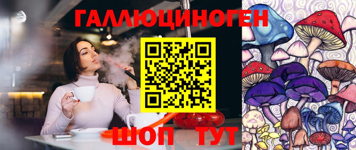 Галлюциногенные грибы Psilocybe Ливны